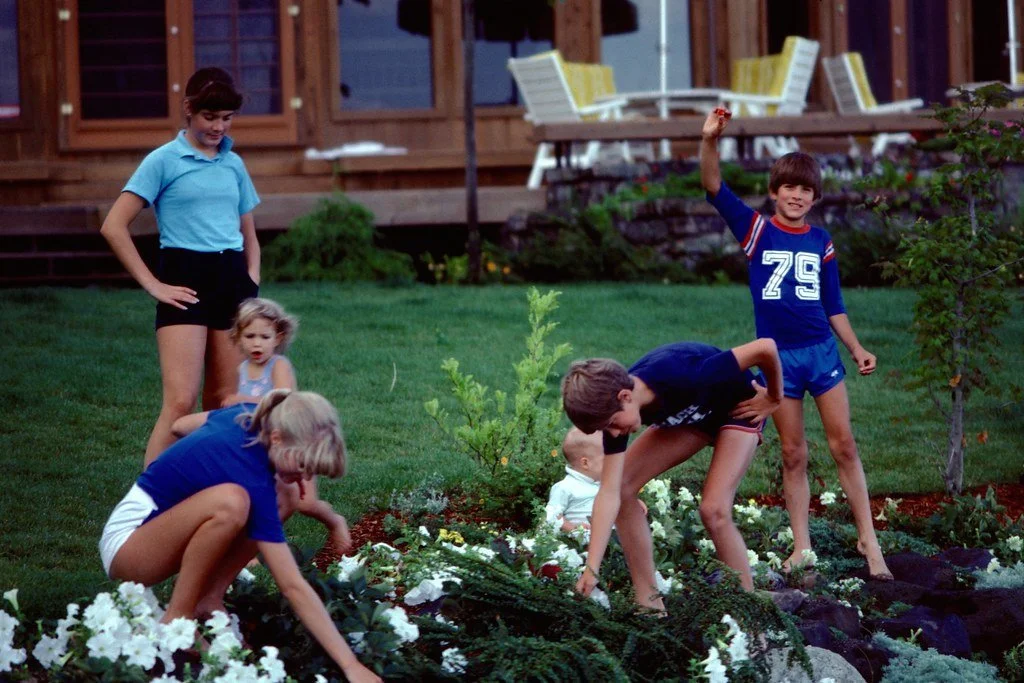 1982--682882--84_20424211753_l.jpg