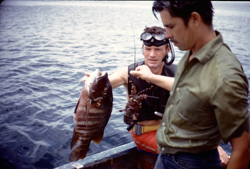 19711--37_21303570855_l.jpg