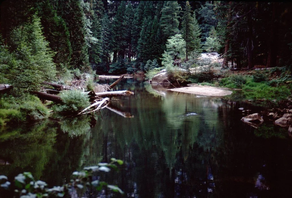 19711--76_21311758931_l.jpg