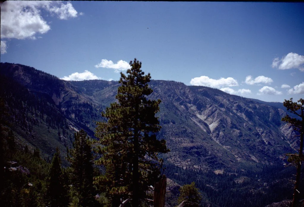 19711--81_21311765821_l.jpg