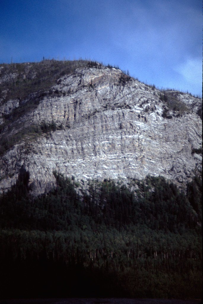 1974lr2-040_21289089440_l.jpg