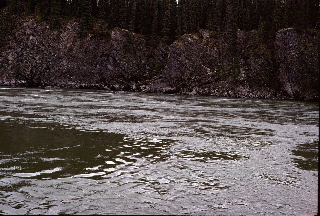 1974lr1-055_21289354940_l.jpg