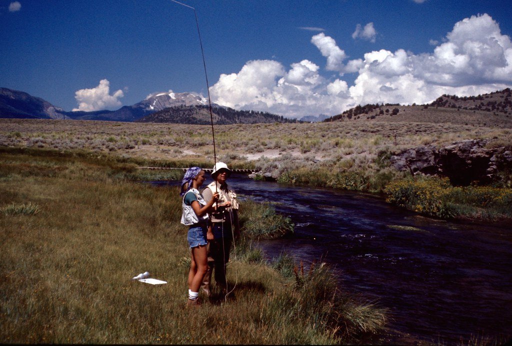 1974hc1-037_21477617685_l.jpg