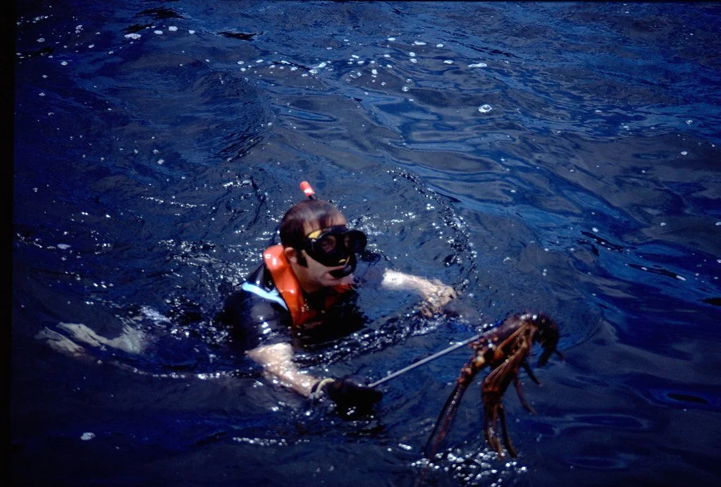 19711--56_21115706738_l.jpg