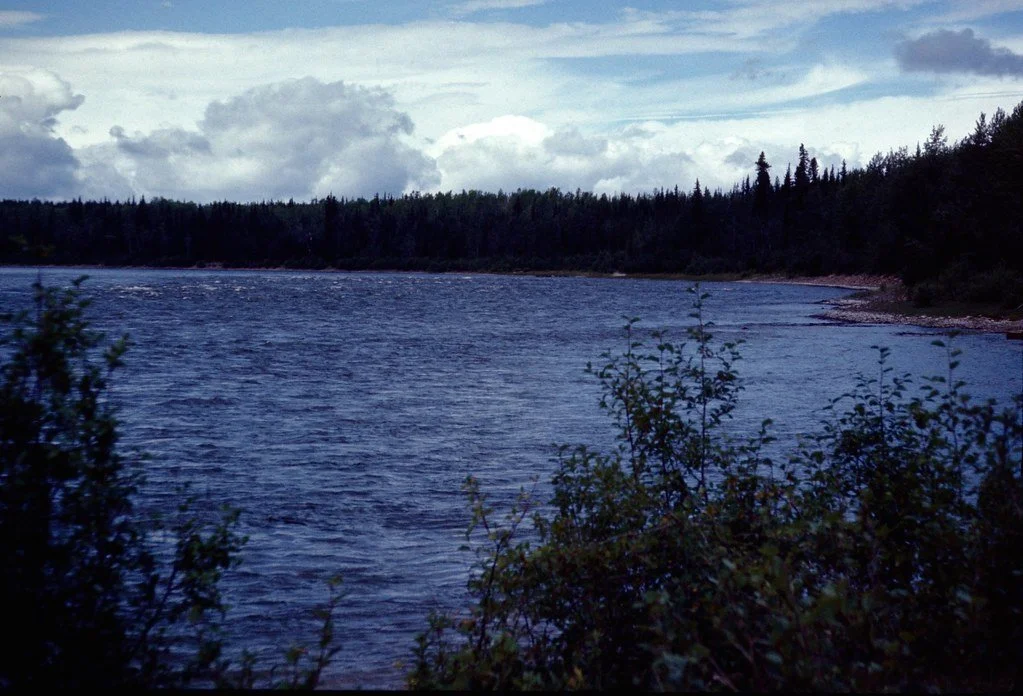 1974lr1-020_20854657904_l.jpg
