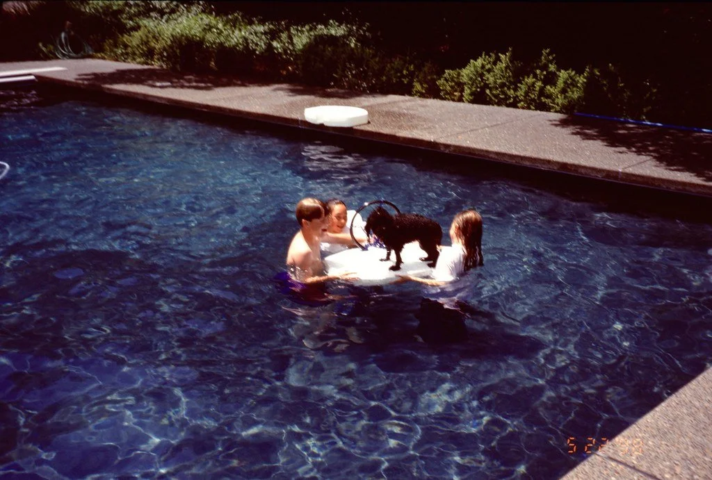 199845--139_21174612884_l.jpg