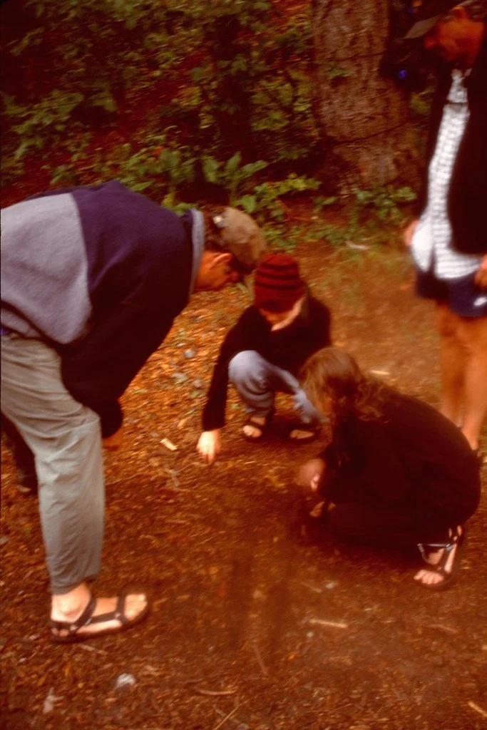 199718--115_21605152540_l.jpg