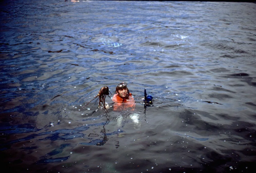 19711--35_21292942622_l.jpg