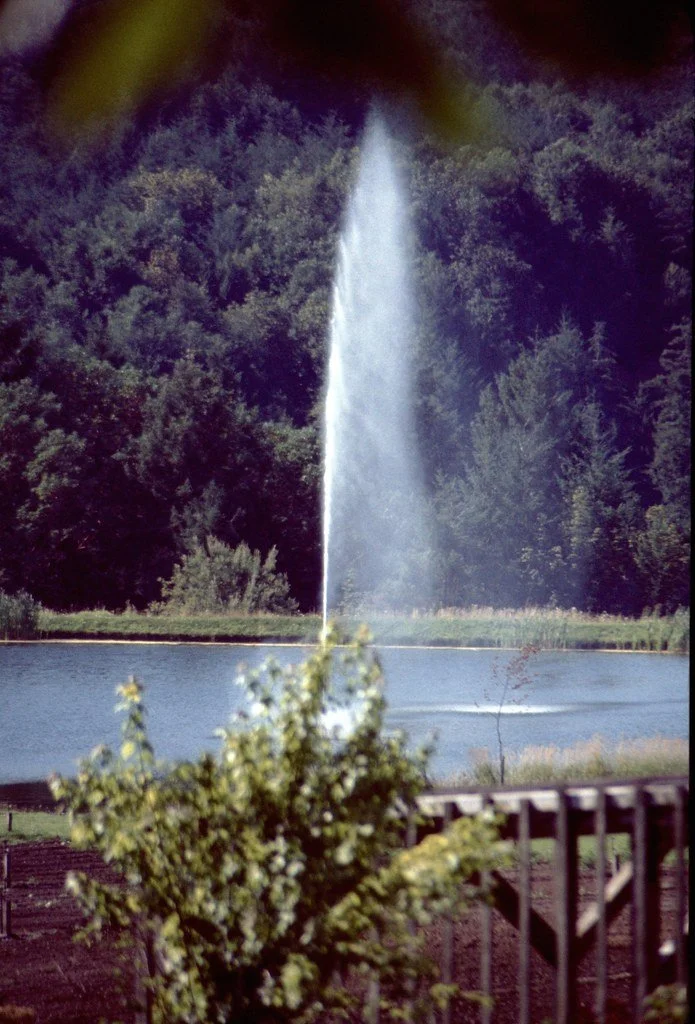 19761-087_21447681146_l.jpg