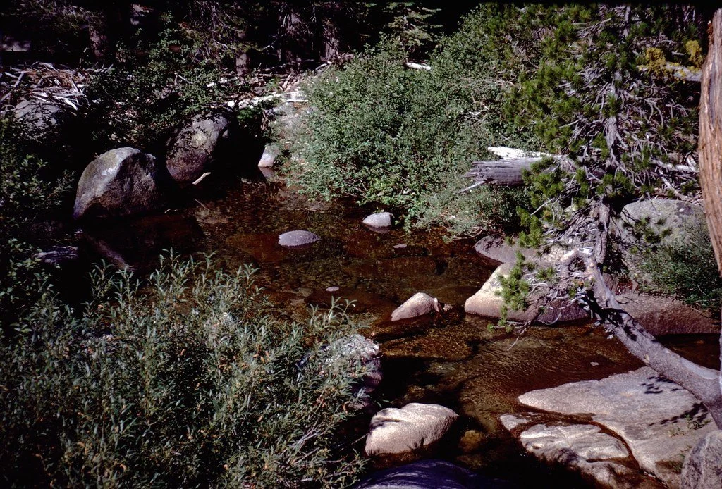 19711--72_20682505093_l.jpg