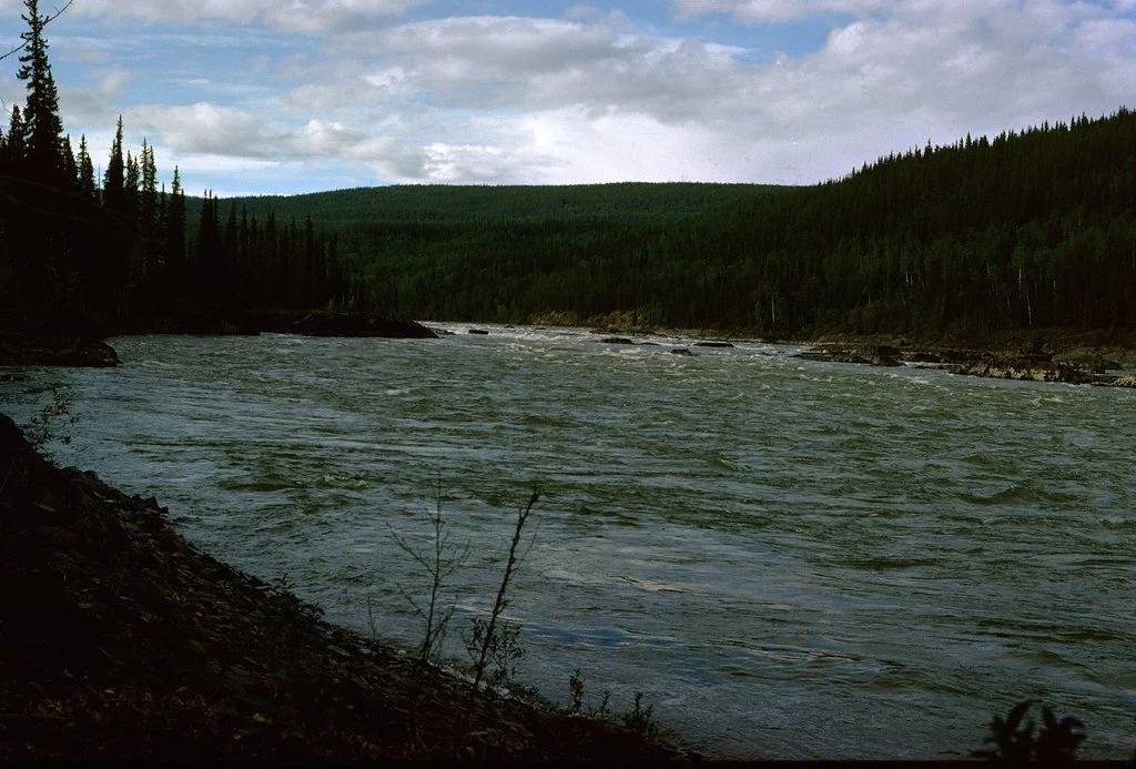 1974lr1-072_21289599158_l.jpg