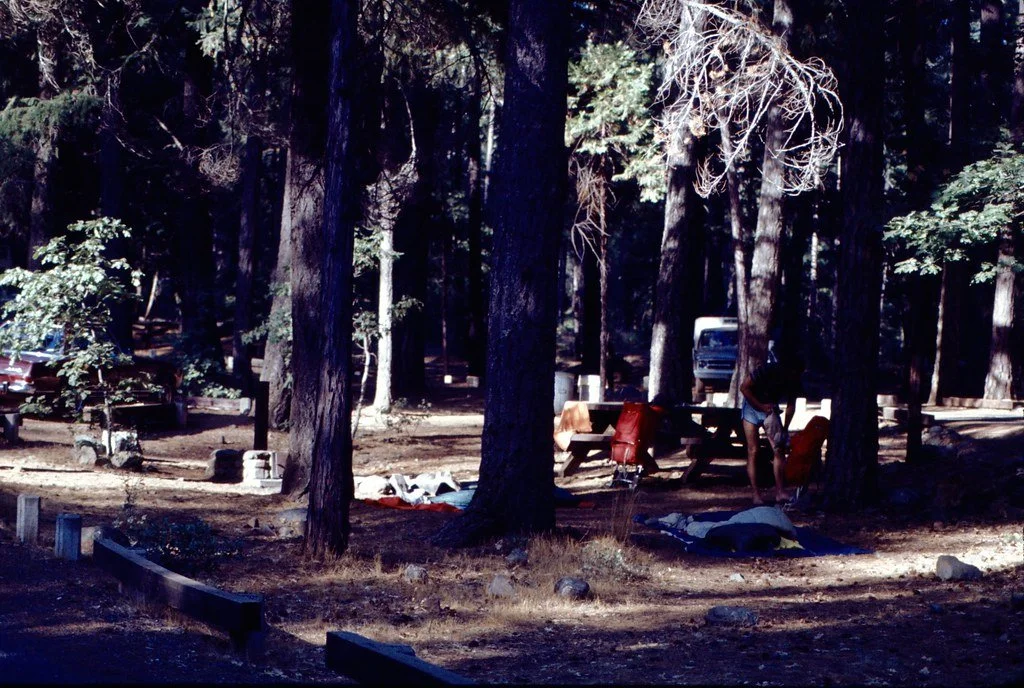 1975spring-002_21480161821_l.jpg