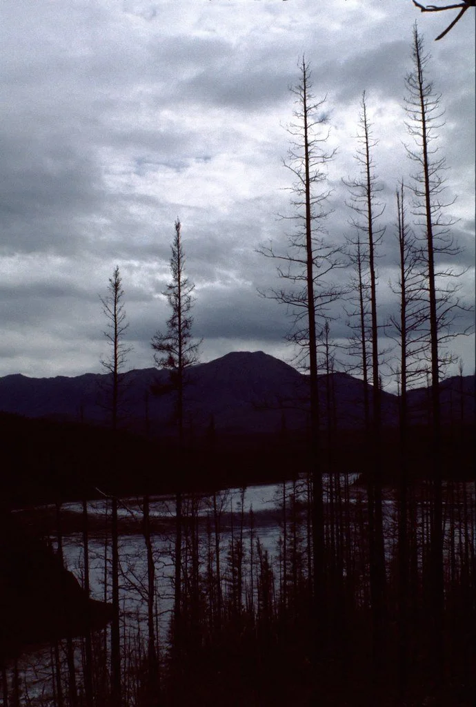 1974lr2-063_21289342648_l.jpg