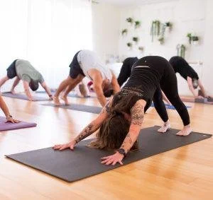 People practicing yoga in a bright studio with wooden floors and indoor plants.