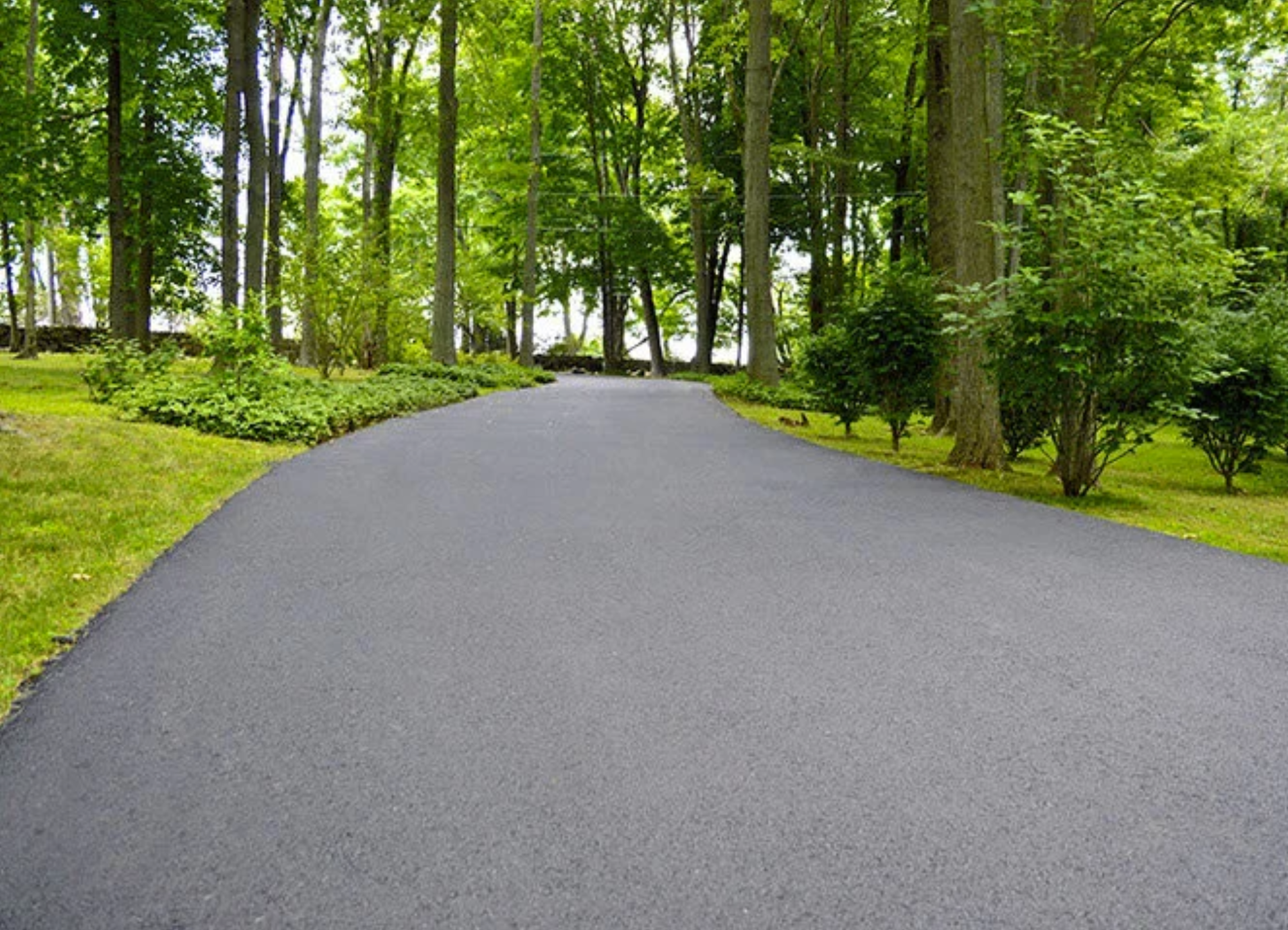 A paved pathway through a lush green forest with tall trees and dense foliage.