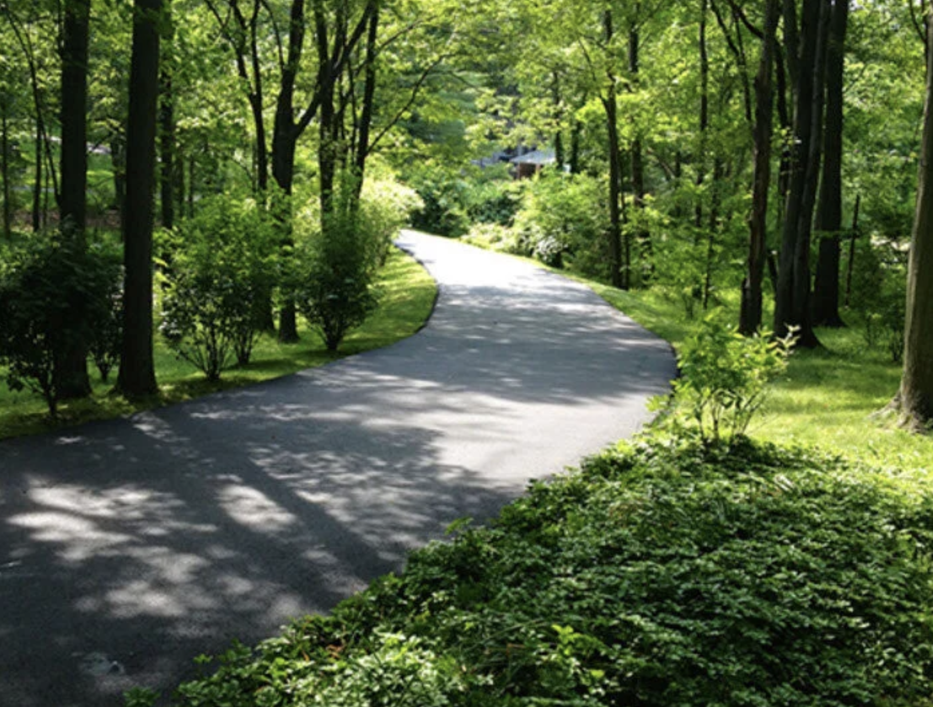 A winding paved path through a lush green wooded area with trees and bushes on either side, sunlight filtering through the leaves.
