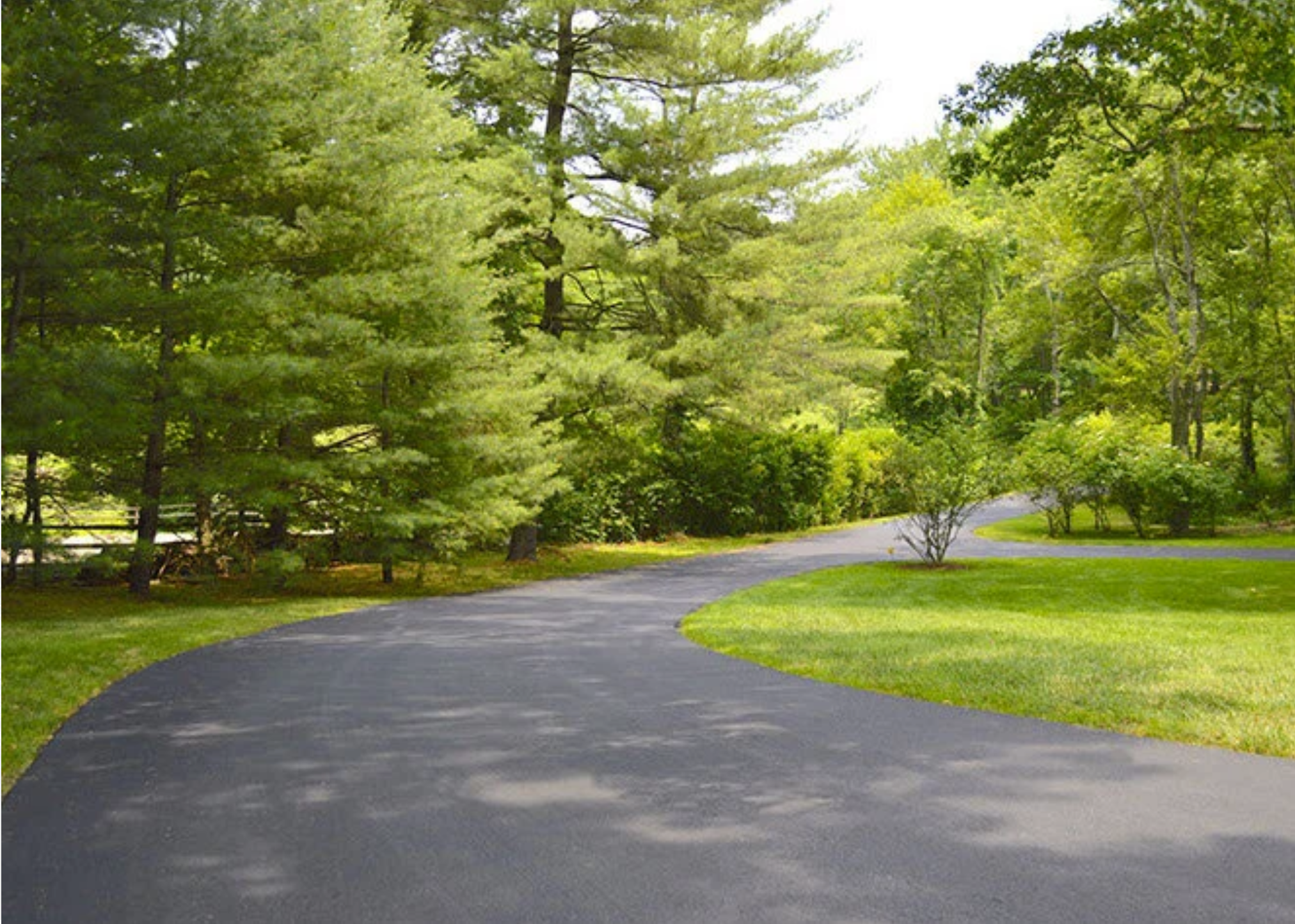A winding asphalt driveway through a lush green park with tall trees and well-manicured grass.