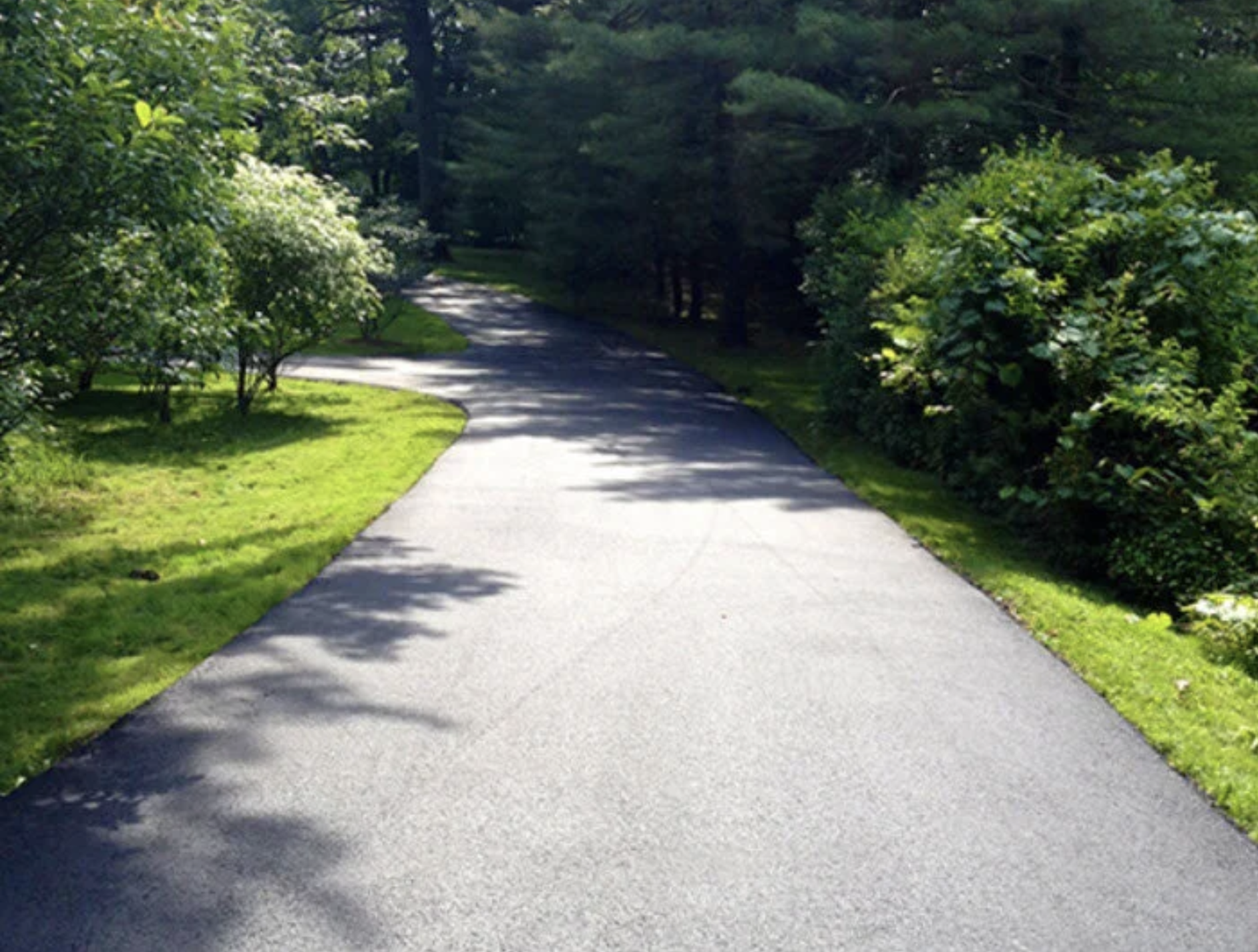 A paved winding path through lush green grass and dense trees in a park.