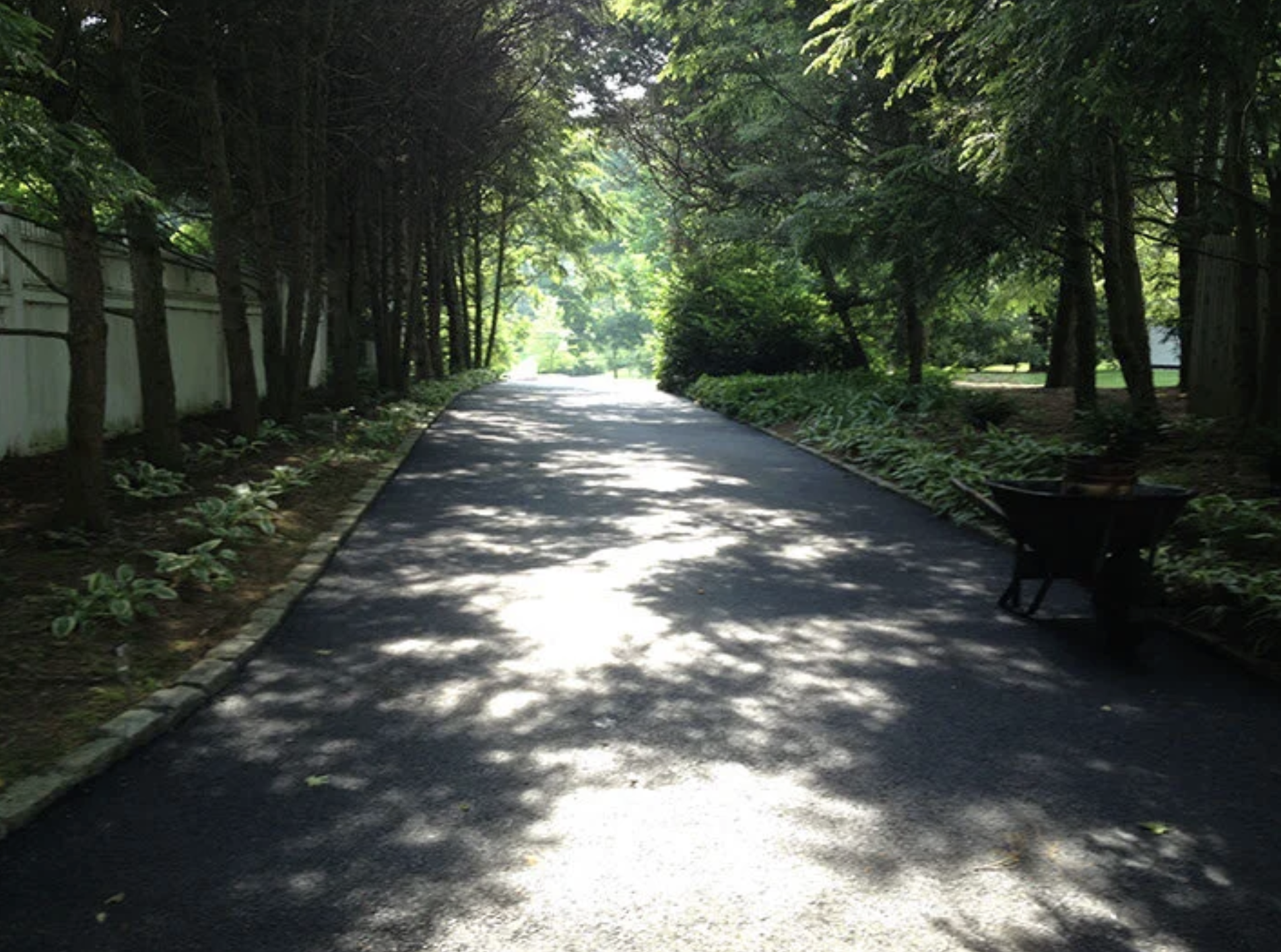 A shaded pathway in a park with trees on both sides and a bench on the right side.