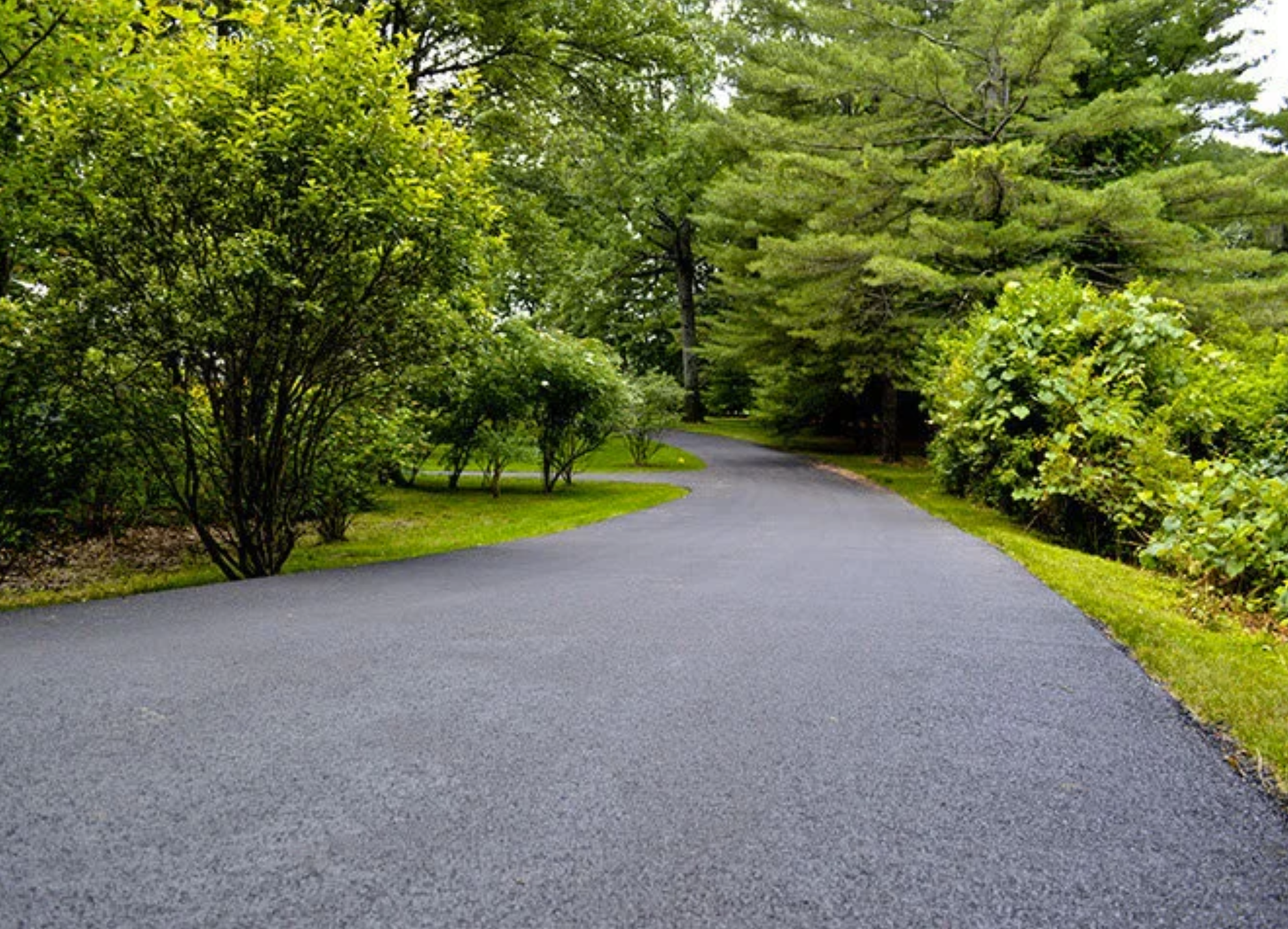 A paved pathway surrounded by lush green trees and shrubs in a park or garden setting.