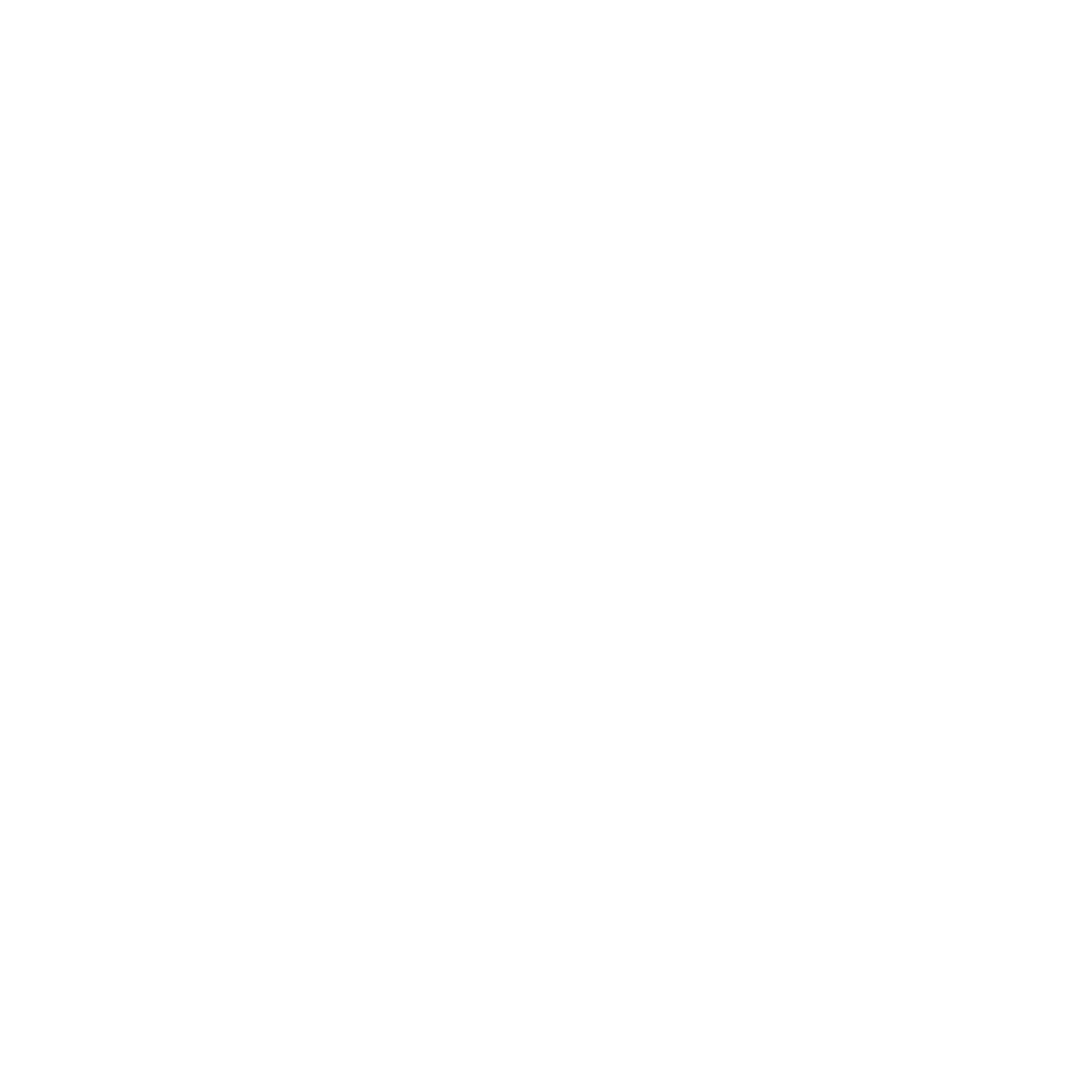 Belgian block white icon.