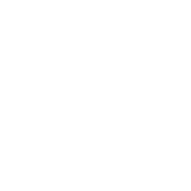 bso-logo-1.png