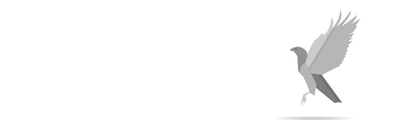 NFSI_LOGO_TRANS.png