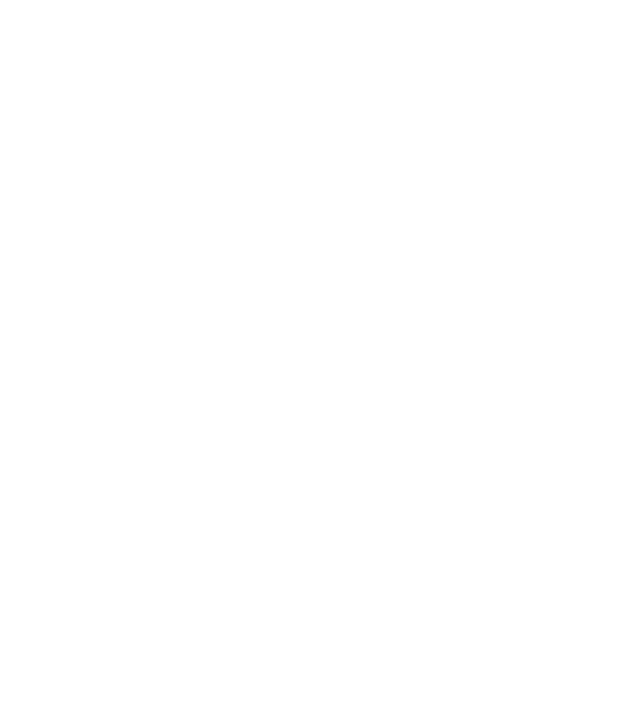 CISF.png