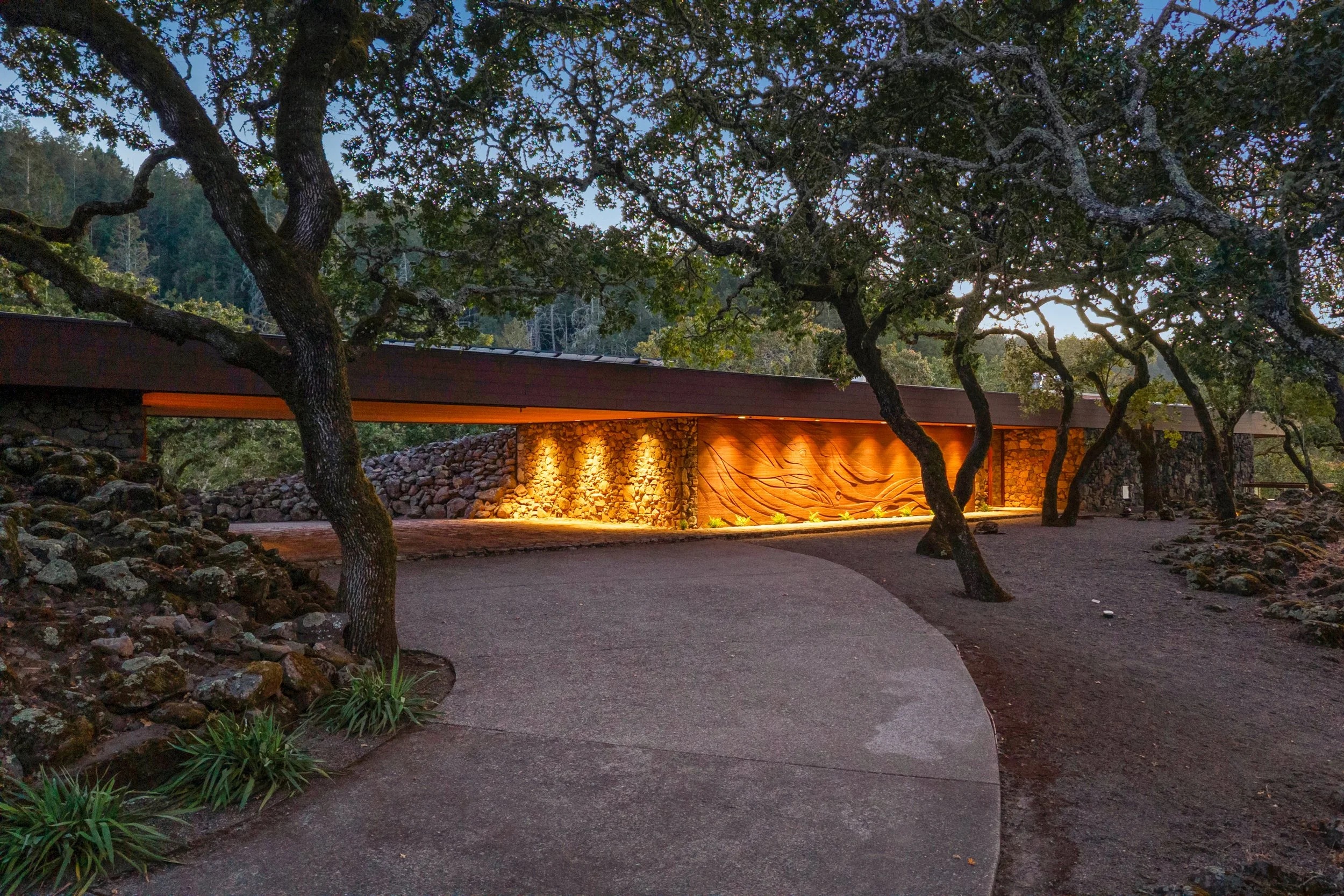 Nighttime outdoor scene featuring a large tree with a wide canopy, a modern building with stone walls and warm lighting, surrounded by a paved pathway and landscaped plants.