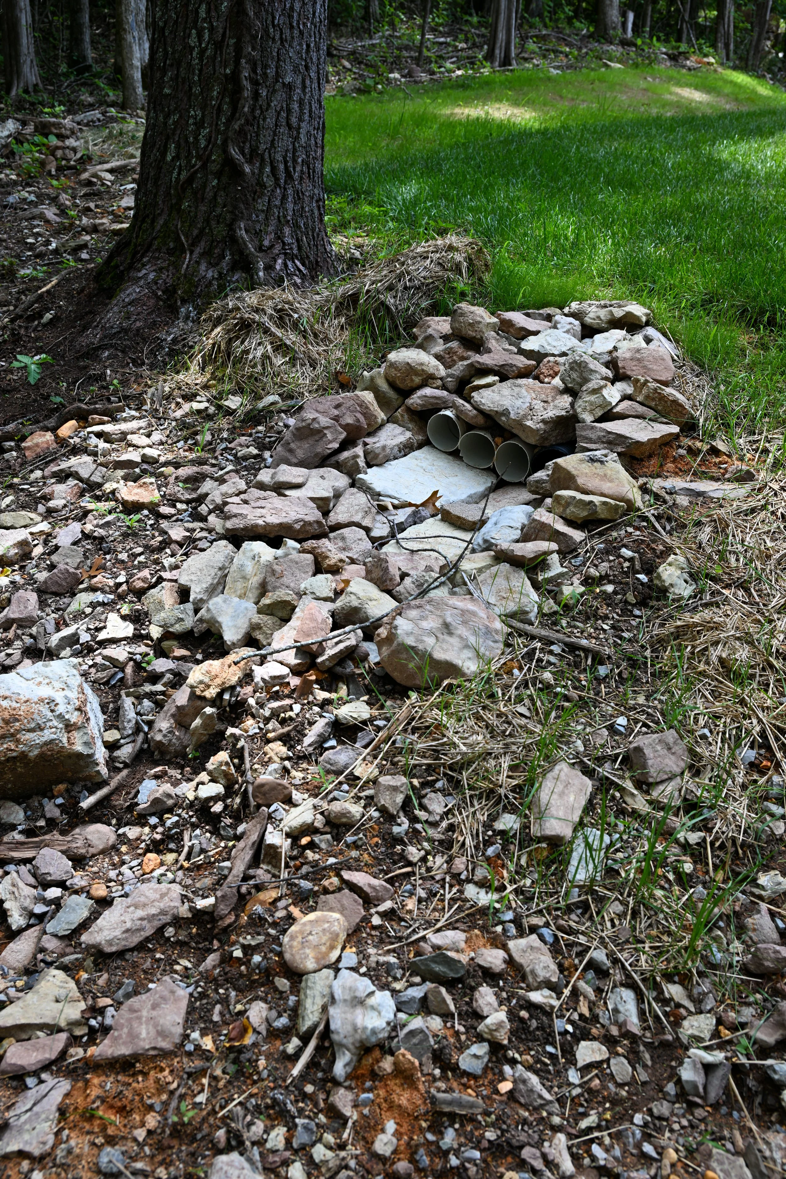 DSC_0141.JPG