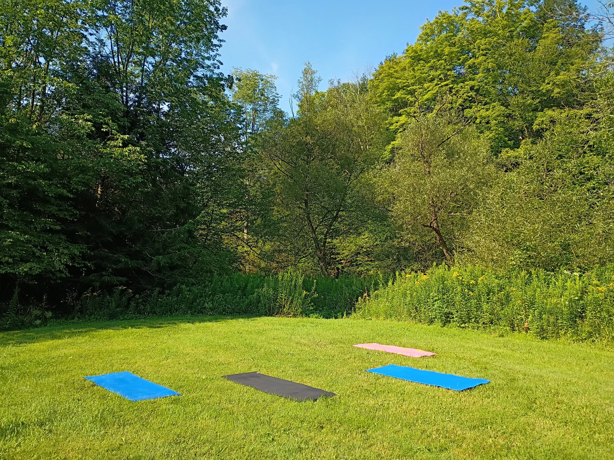 4 yoga mats creekside.jpg