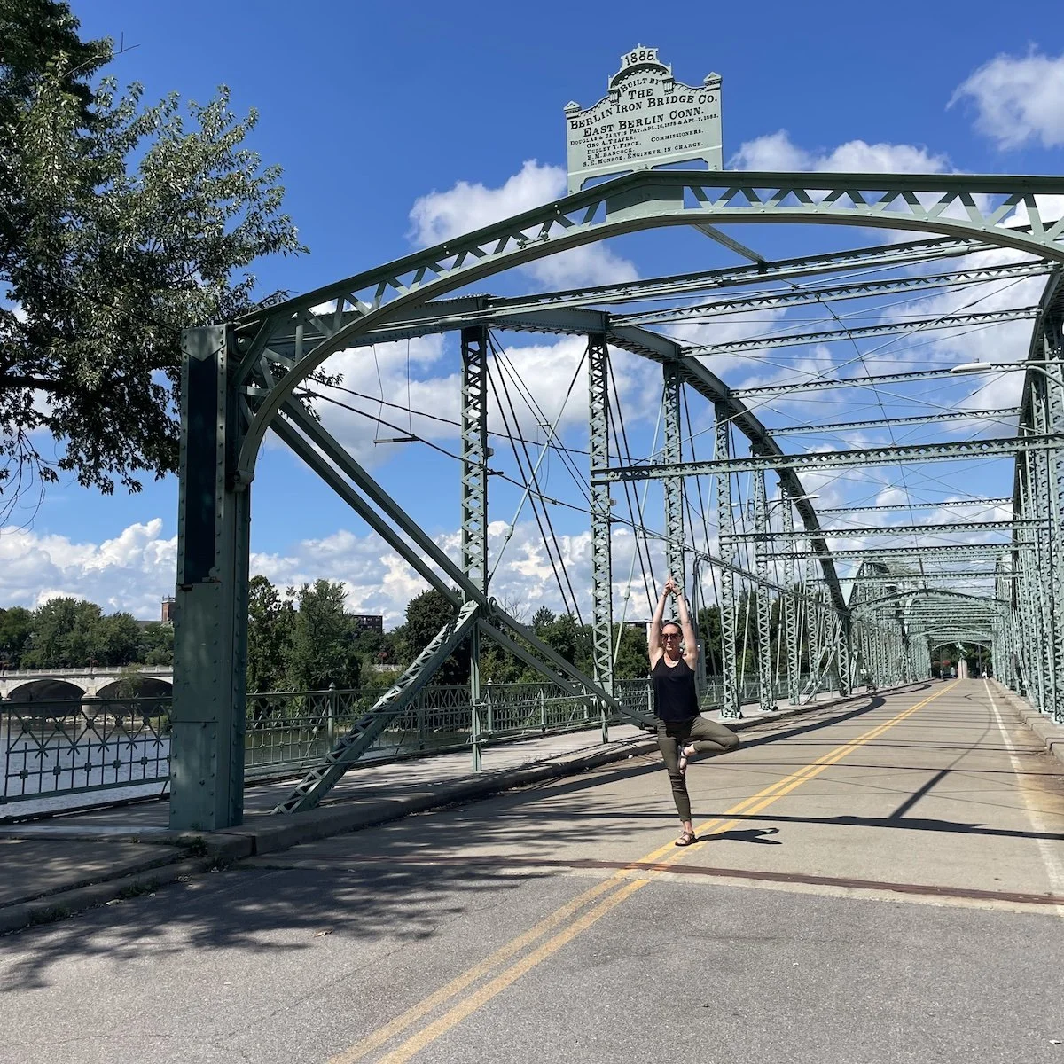 BrennaTreeWashingtonStBridge.jpg