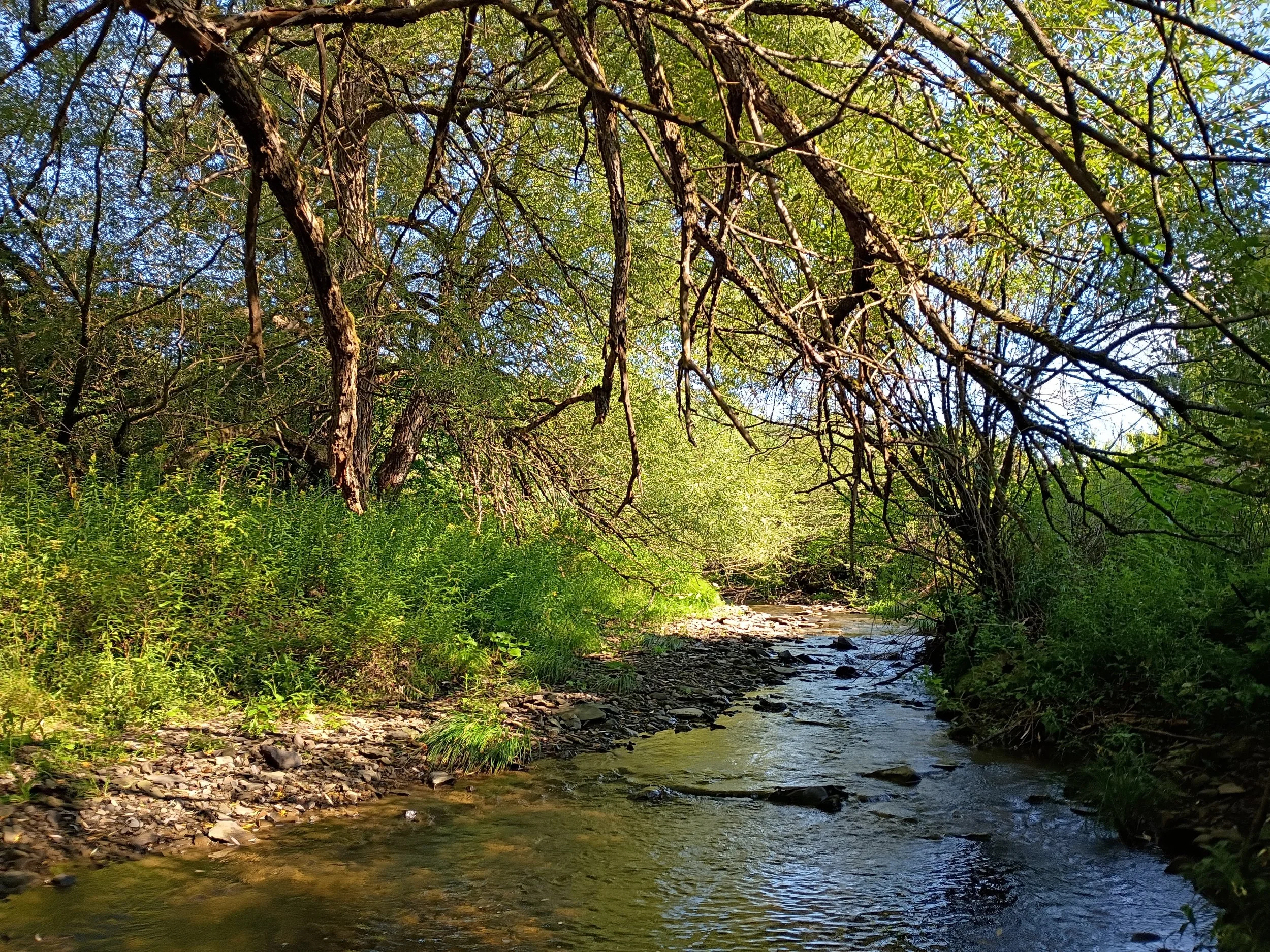 creek.jpg