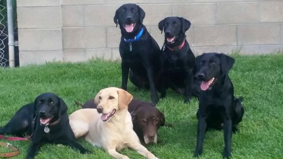 The Group.JPG