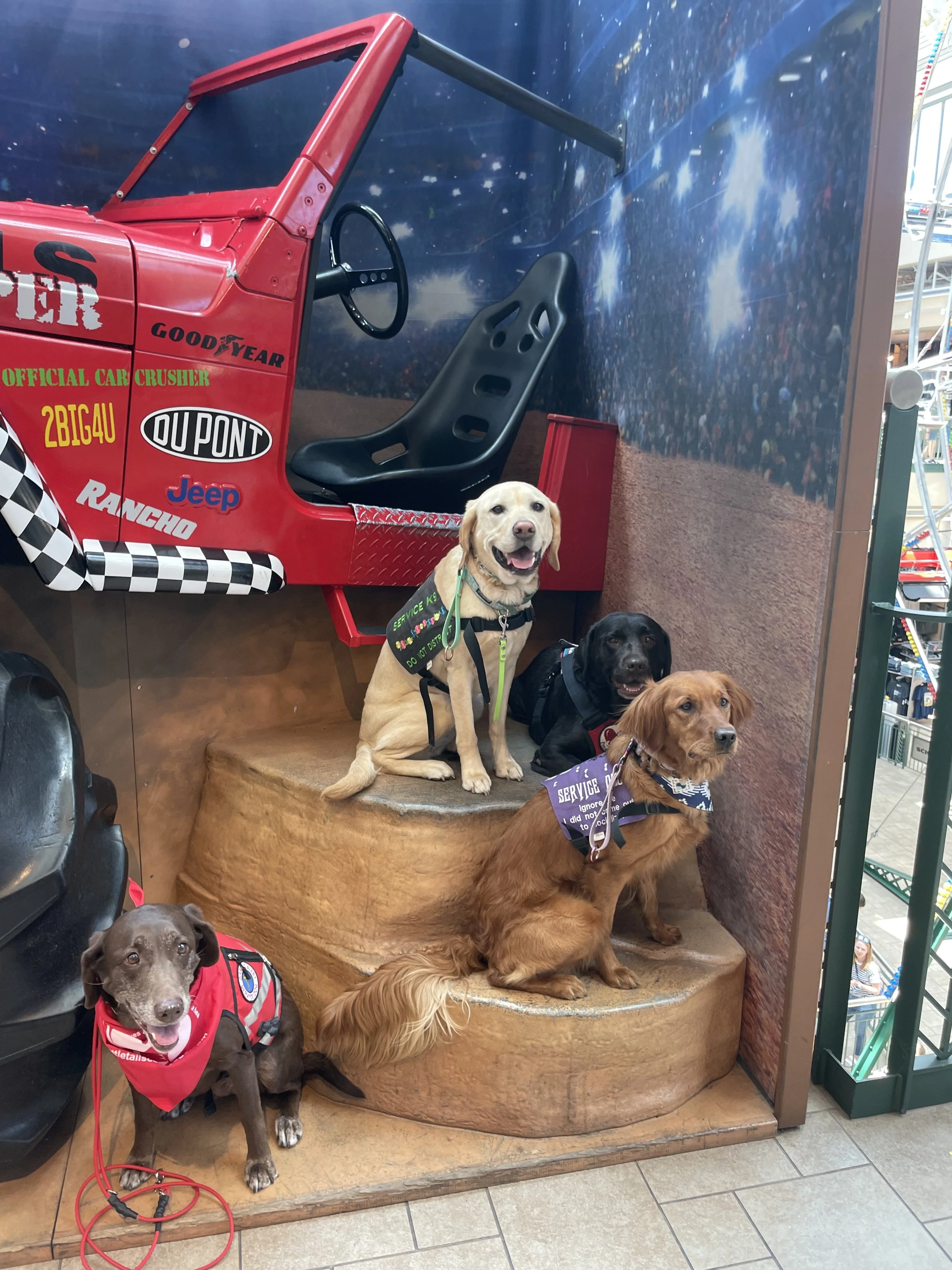 Dogs @ Scheels.jpeg