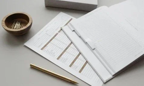Open planner and financial tracker sheets on a table with a gold pen, a small wooden bowl with paper clips, and a gray box in the background.