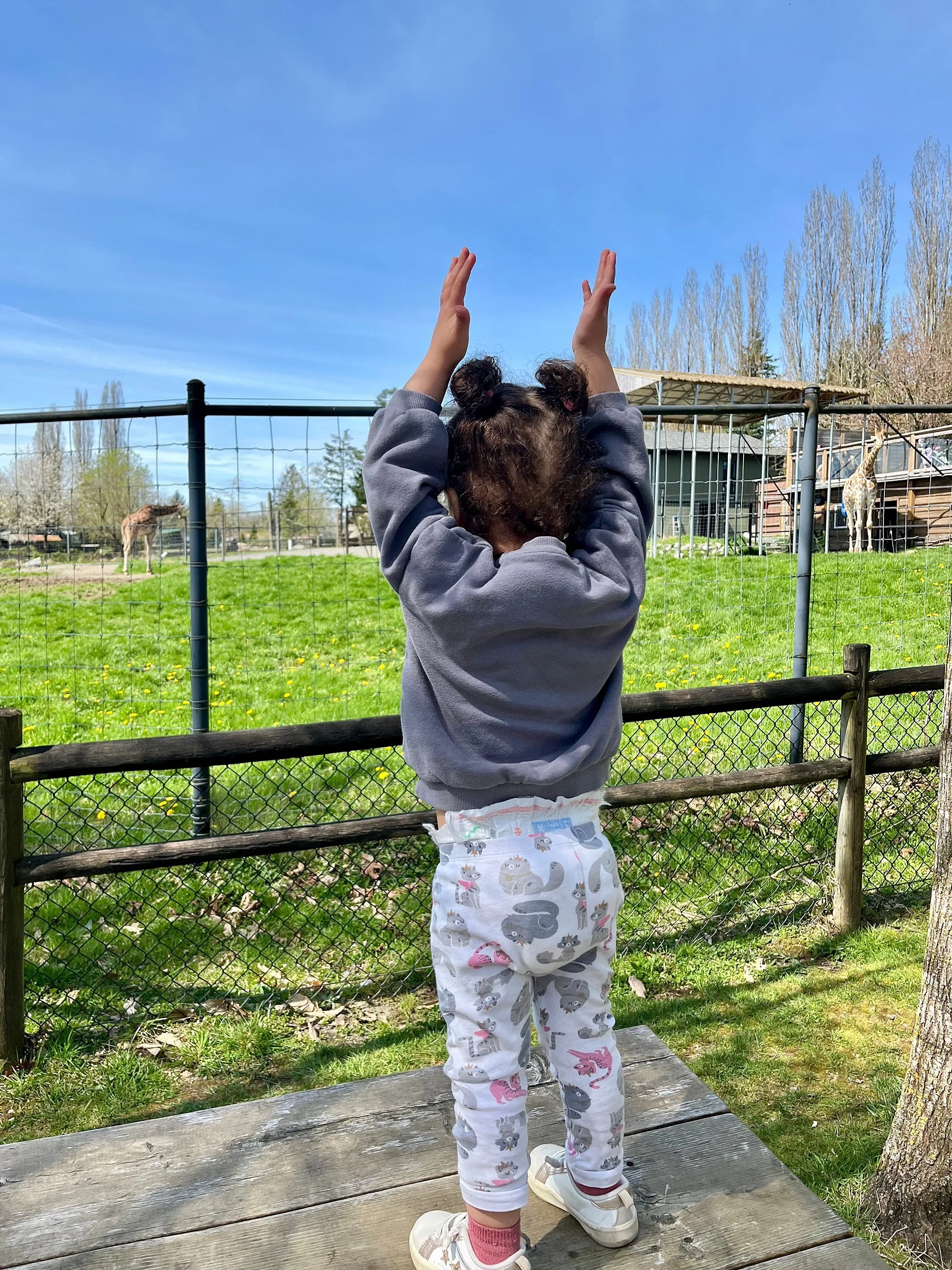 Where We Spent a Wake Window: The Greater Vancouver Zoo