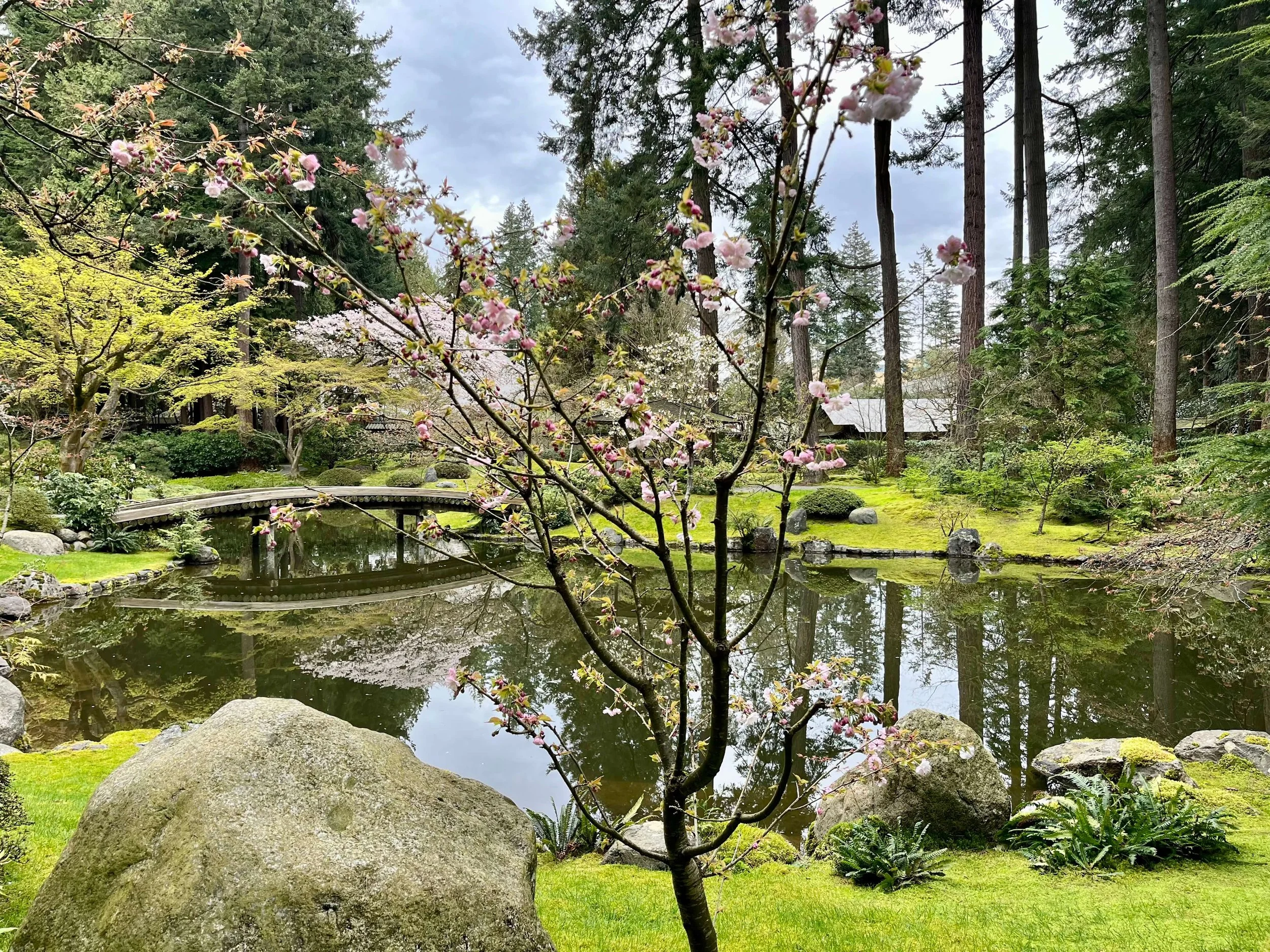 Where We Spent a Wake Window: Nitobe Memorial Garden
