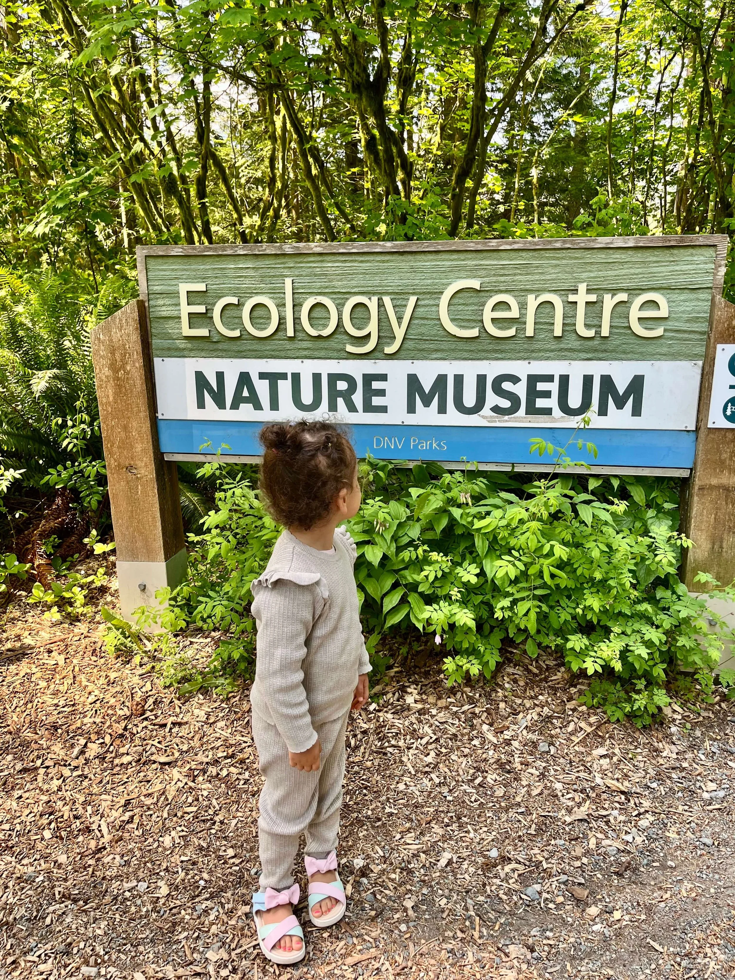 Where We Spent a Wake Window: Lynn Canyon Ecology Centre. 