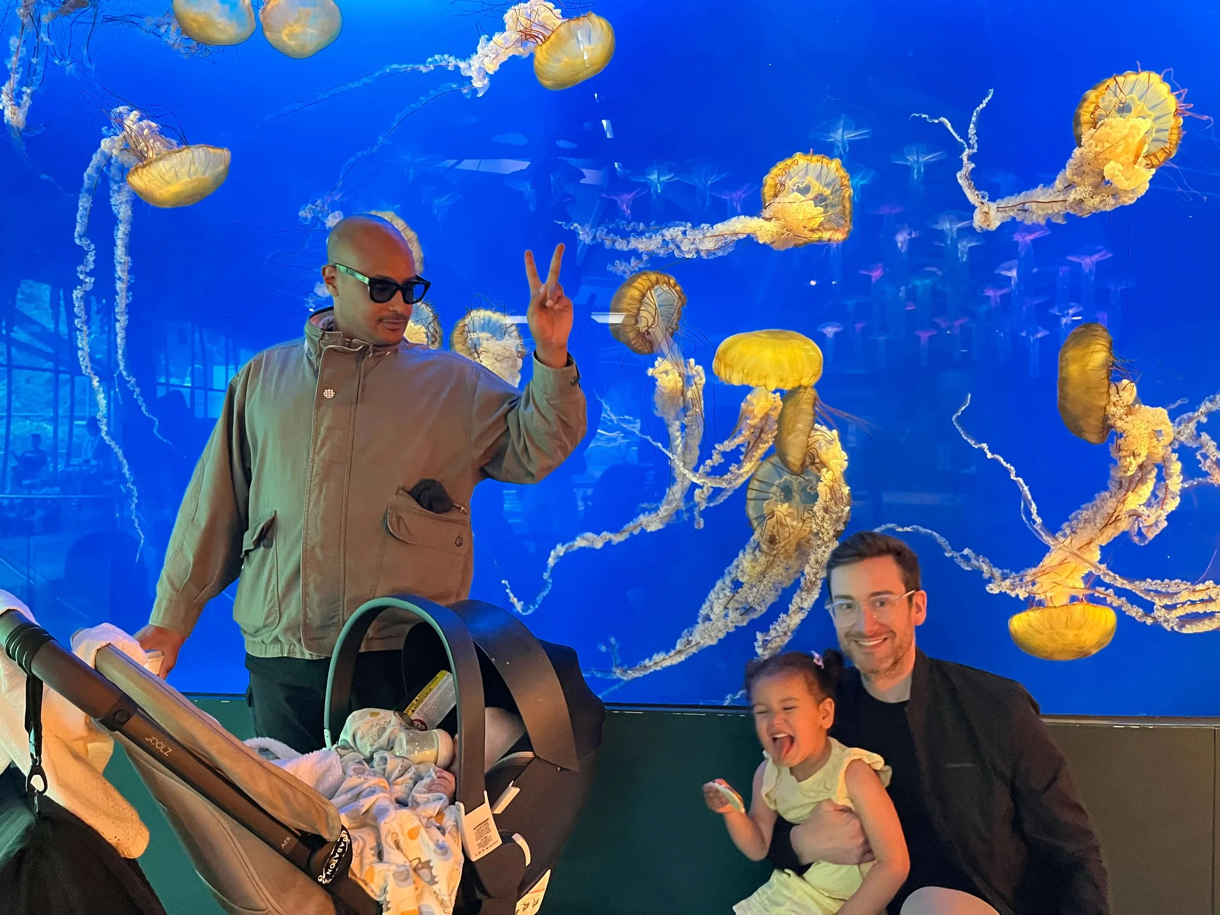 Where We Spent a Wake Window: The Vancouver Aquarium