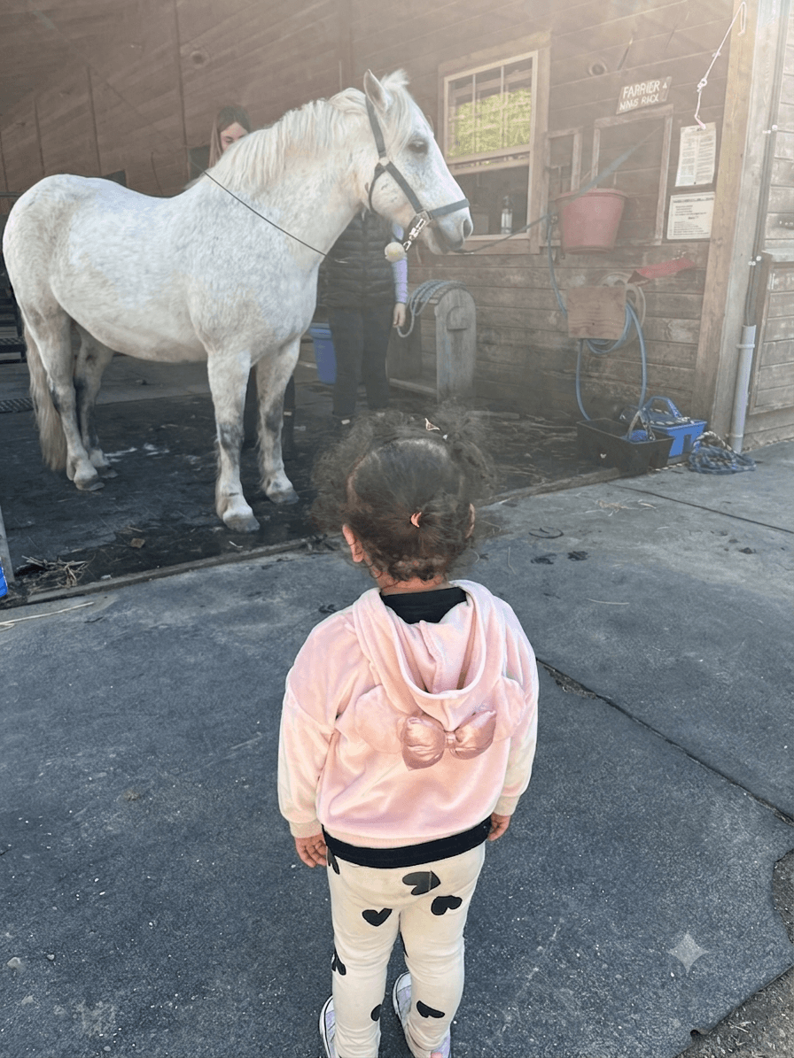 Little girl in a pink sweater looking at a white horse at Southlands Heritage Park.