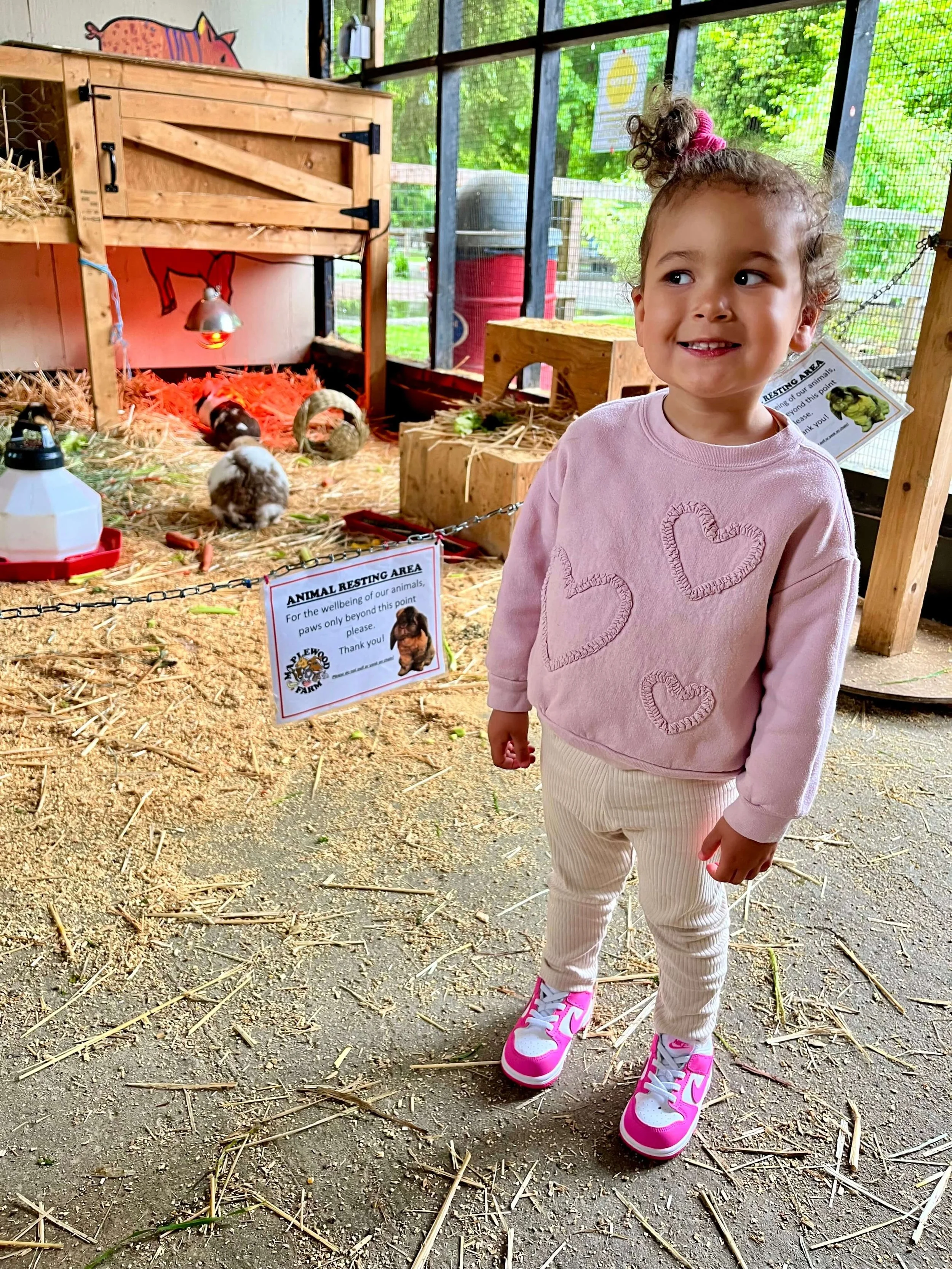 Little girl smiling in front of bunny enclosure