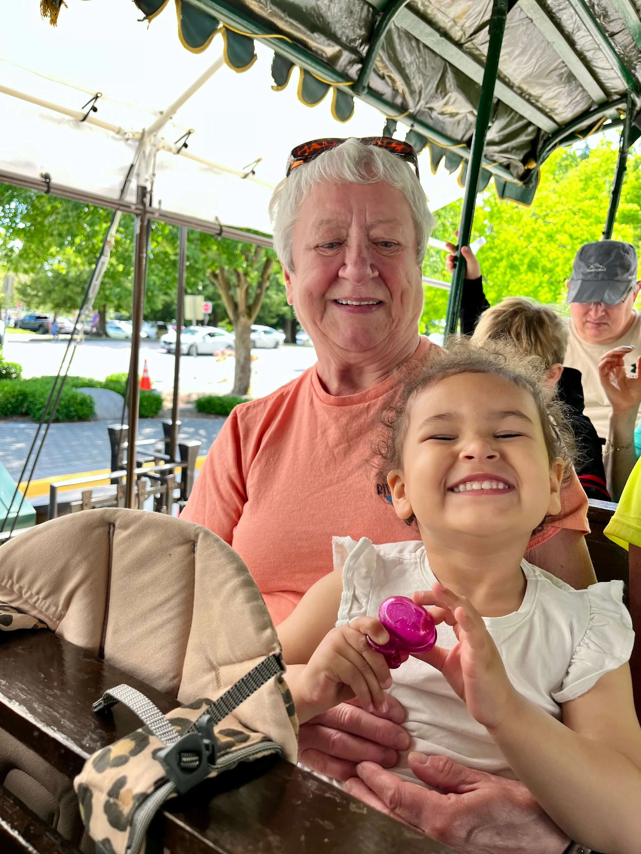 Little girl sitting on her grandmothers lap at the Stanley Park Horse Drawn tour