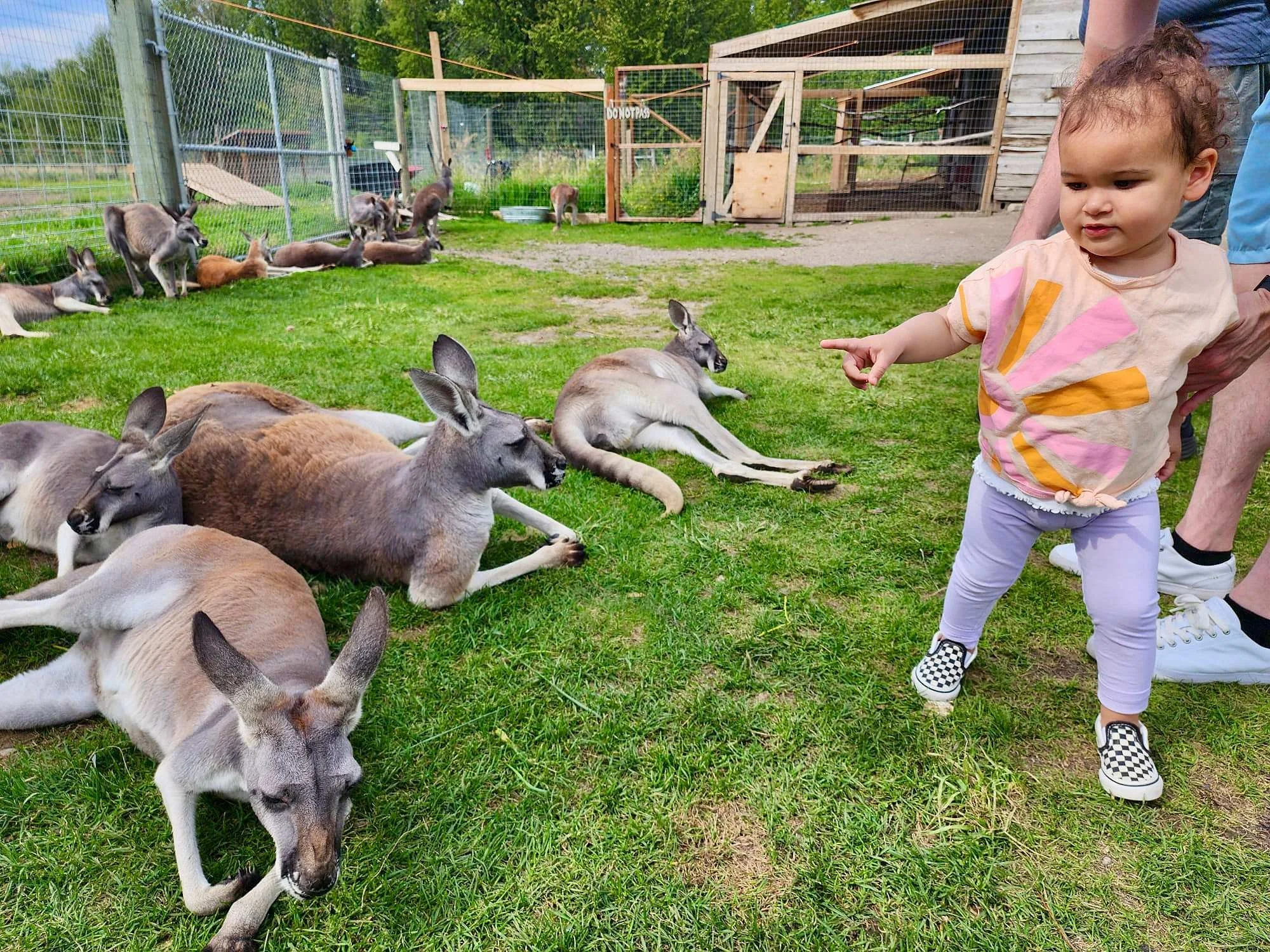 3 Days in Kelowna With a Toddler_0021.jpg