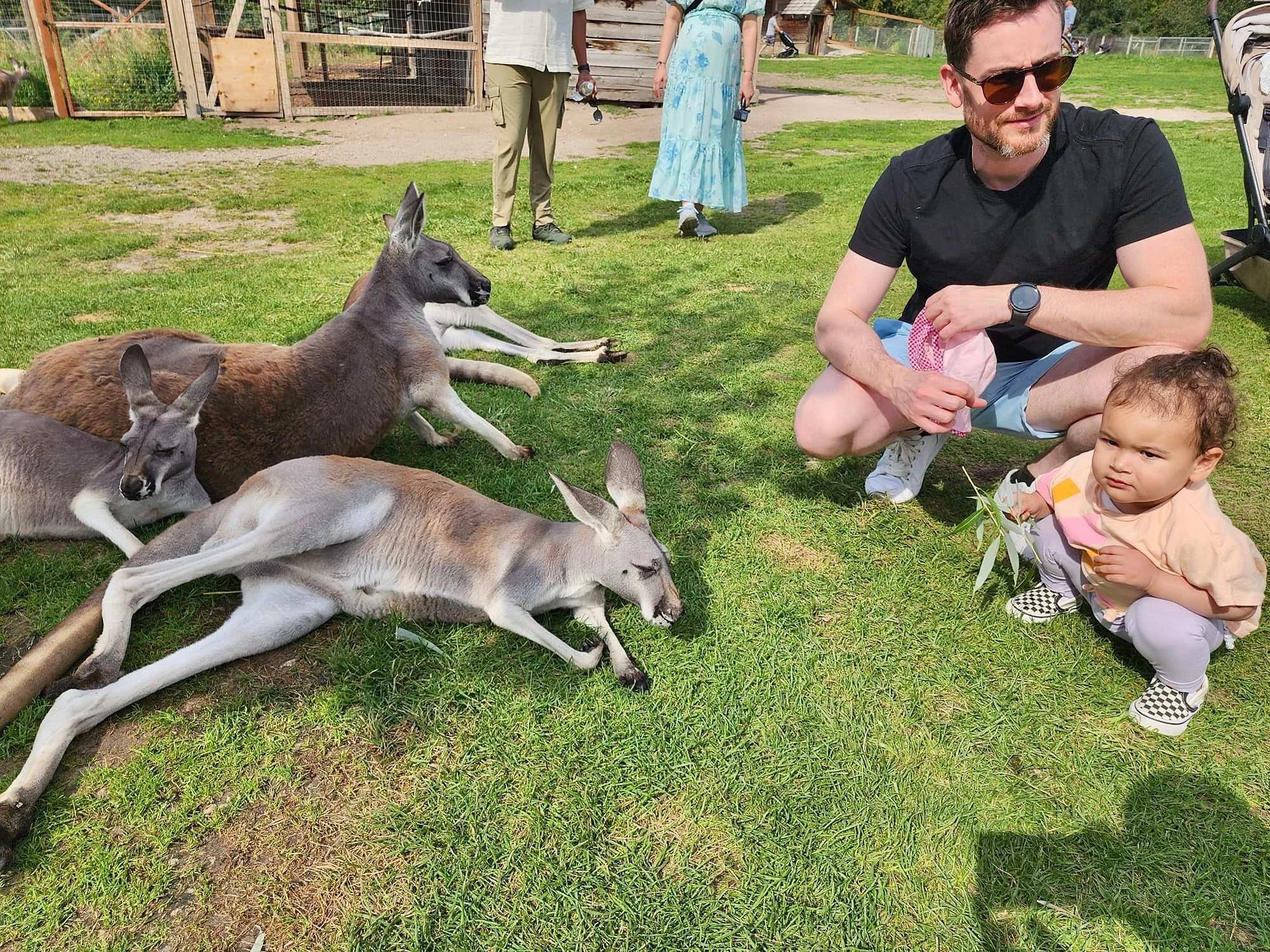 3 Days in Kelowna With a Toddler_0015.jpg