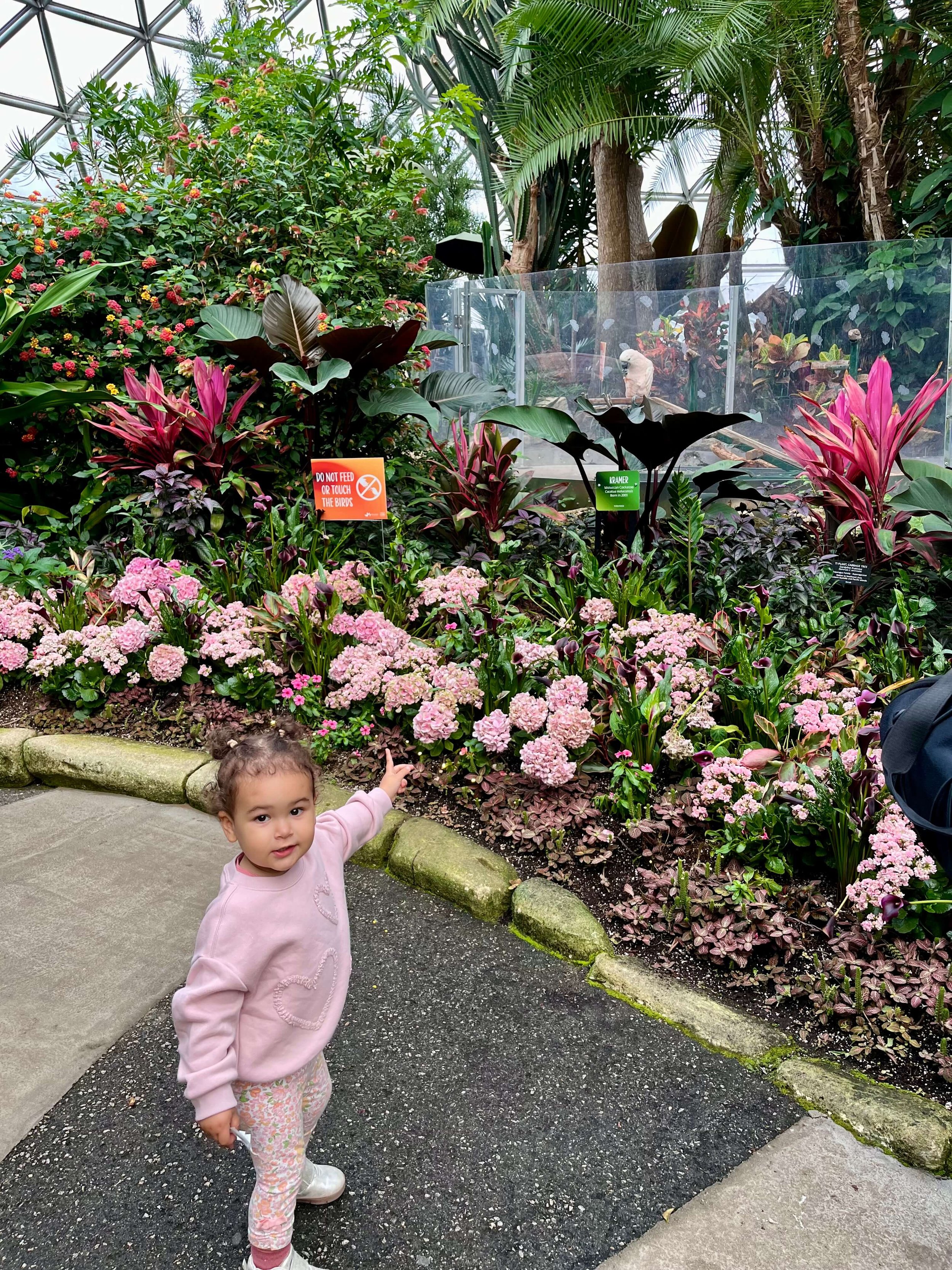 little girl in