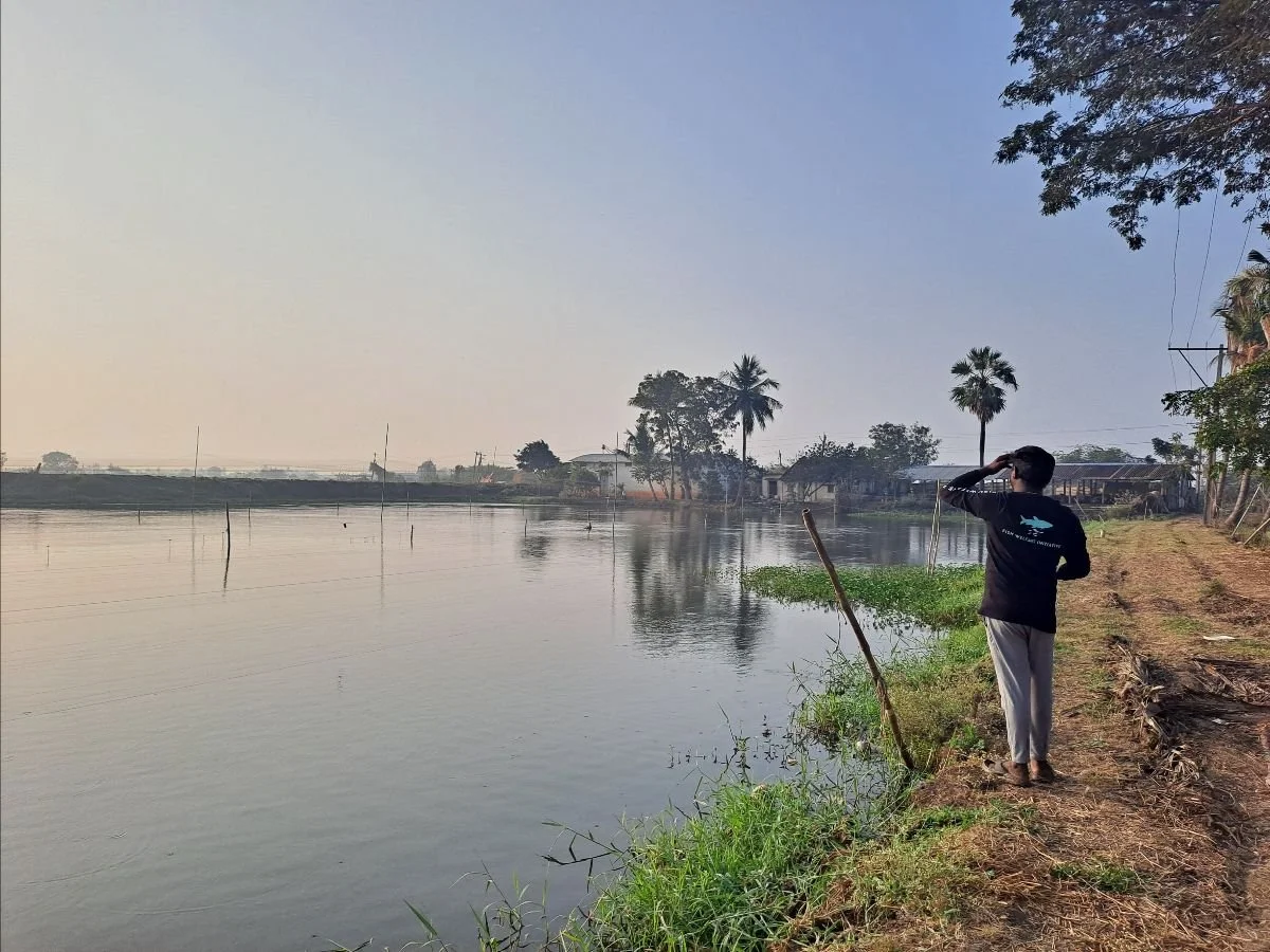 A person standing on a dirt path along a river, looking across the water with a stick planted in the ground nearby, and trees including a few palms in the background.