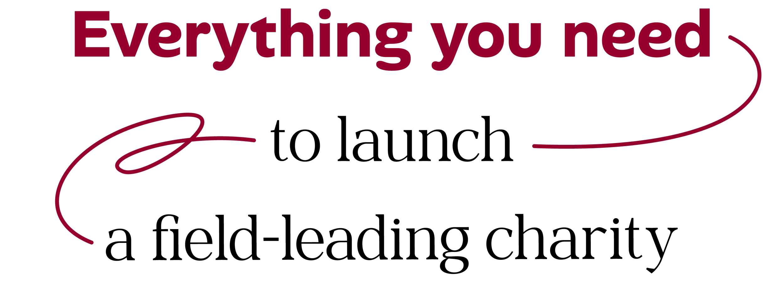 The image features the phrase "Everything you need to launch a field-leading charity" in bold, burgundy-colored text on a black background, with elegant, curving lines decorating the design.