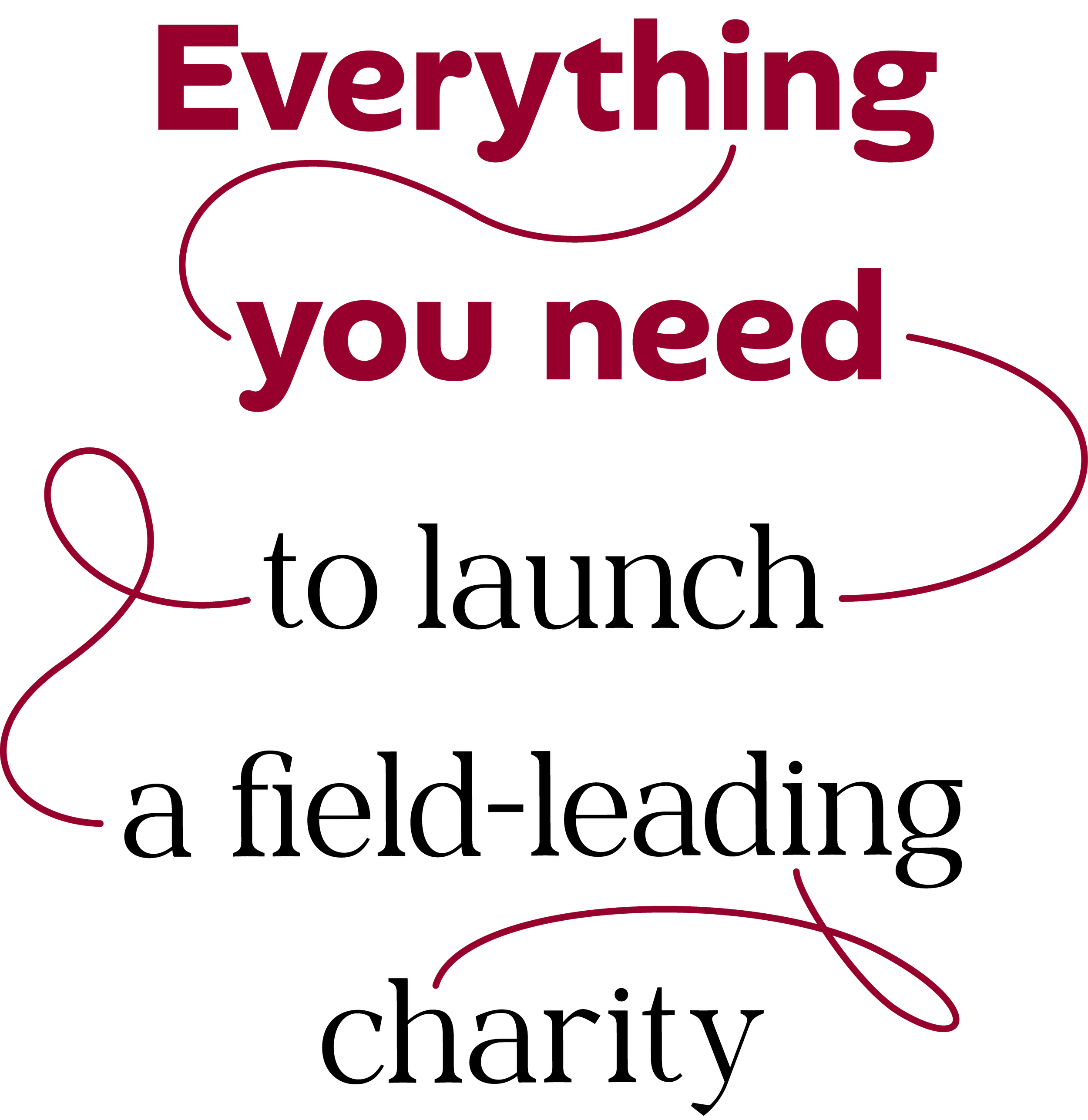 The text reads "Everything you need to launch a field-leading charity" in maroon letters with red curly lines on a black background.