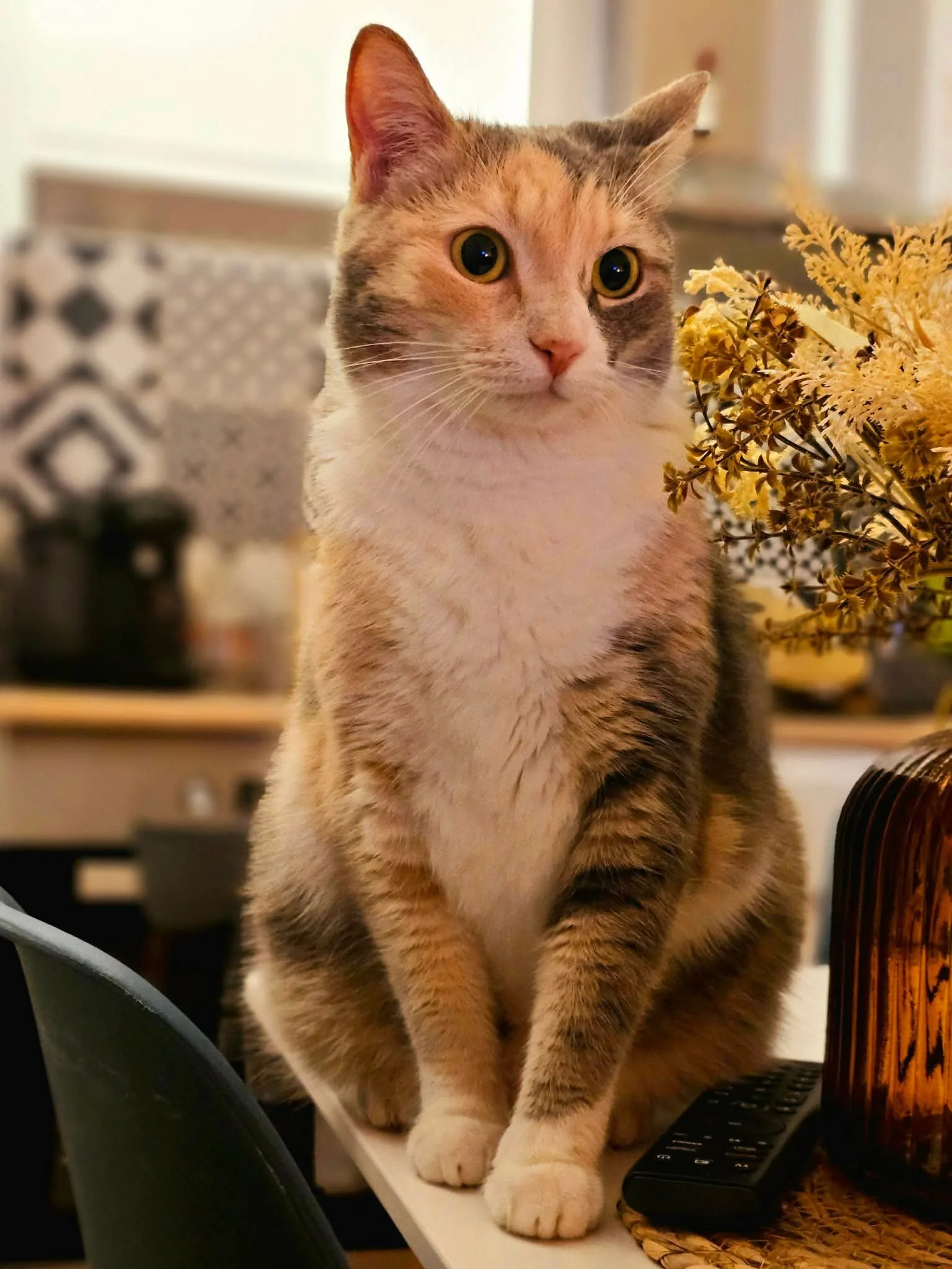 Un chat tacheté, assis sur une table près d'une télécommande et d'un panier en osier, avec des fleurs séchées en arrière-plan.